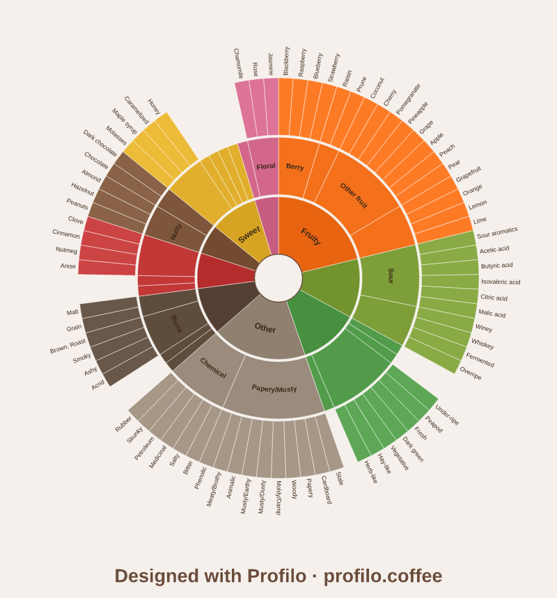 Coffee bag mockup gallery preview — multiple lifestyle scenes generated from one bean profile